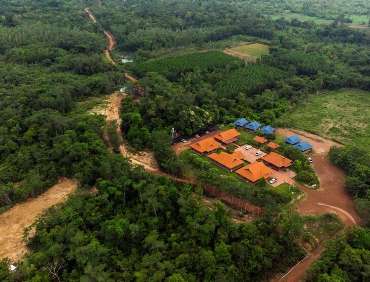 TotalEnergies to invest in sustainable forestry in SE Asia