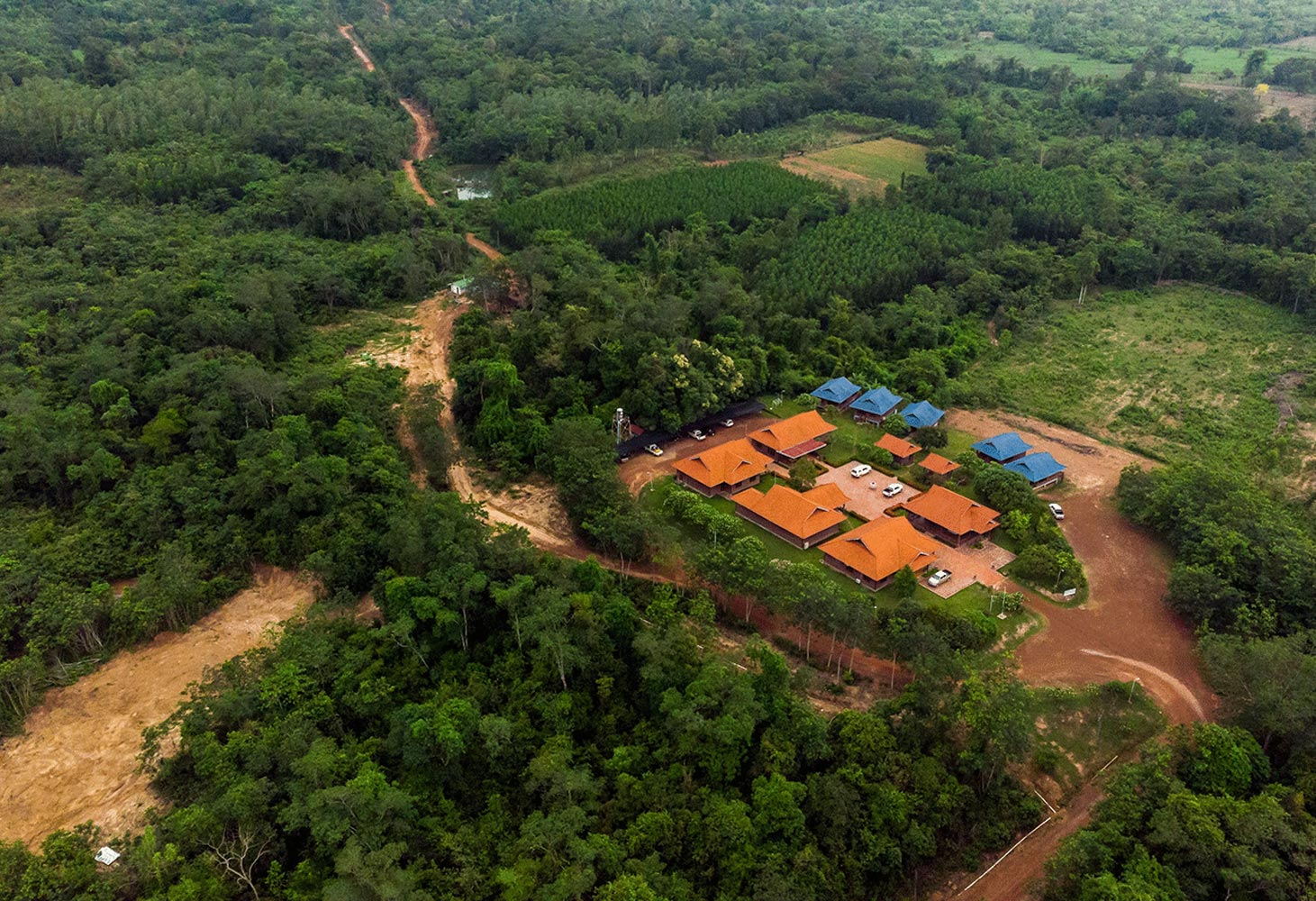 TotalEnergies to invest in sustainable forestry in SE Asia