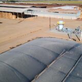 Chevron and CalBio invest in new dairy biomethane fuel projects