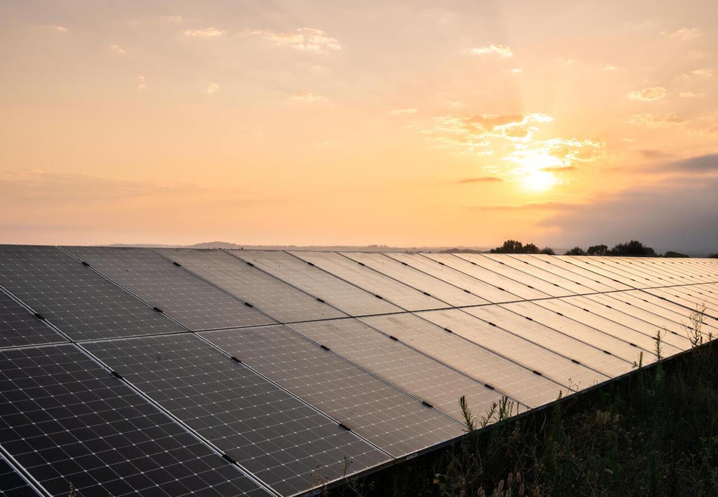 Gentari launches solar operations in Australia under new branding