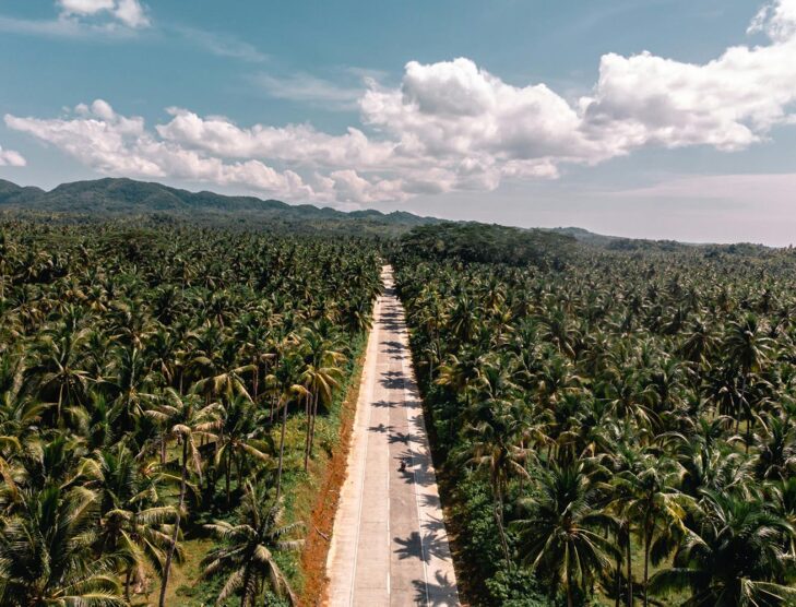 Philippines mandates higher biodiesel blend from October 2024