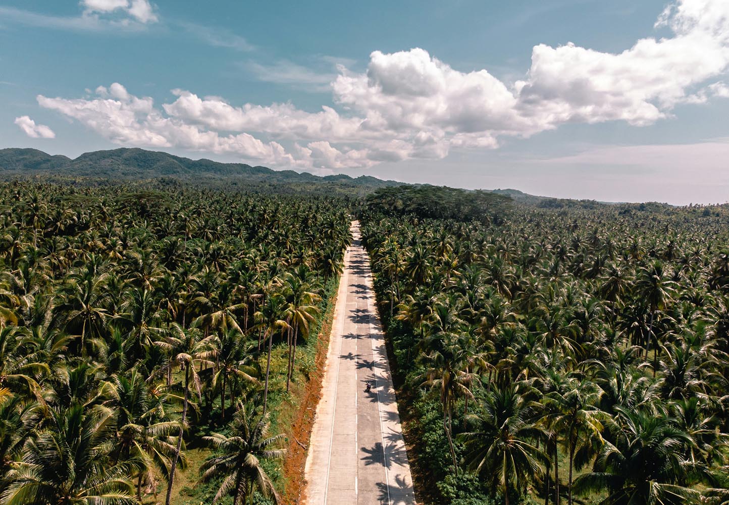 Philippines mandates higher biodiesel blend from October 2024