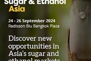 sugar & ethanol 2024