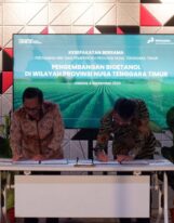 Pertamina NRE moves ahead with bioethanol plant in East Java